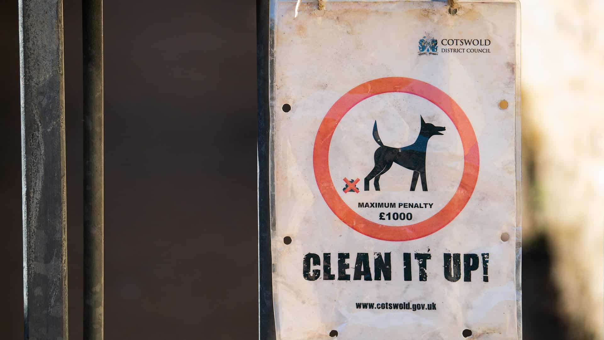 dog poop disposal
