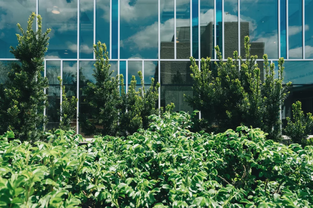 Educational Opportunities for Environmental Benefits of Green Landscaping