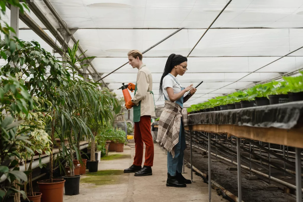 Why Choose Organic Weed Killers?