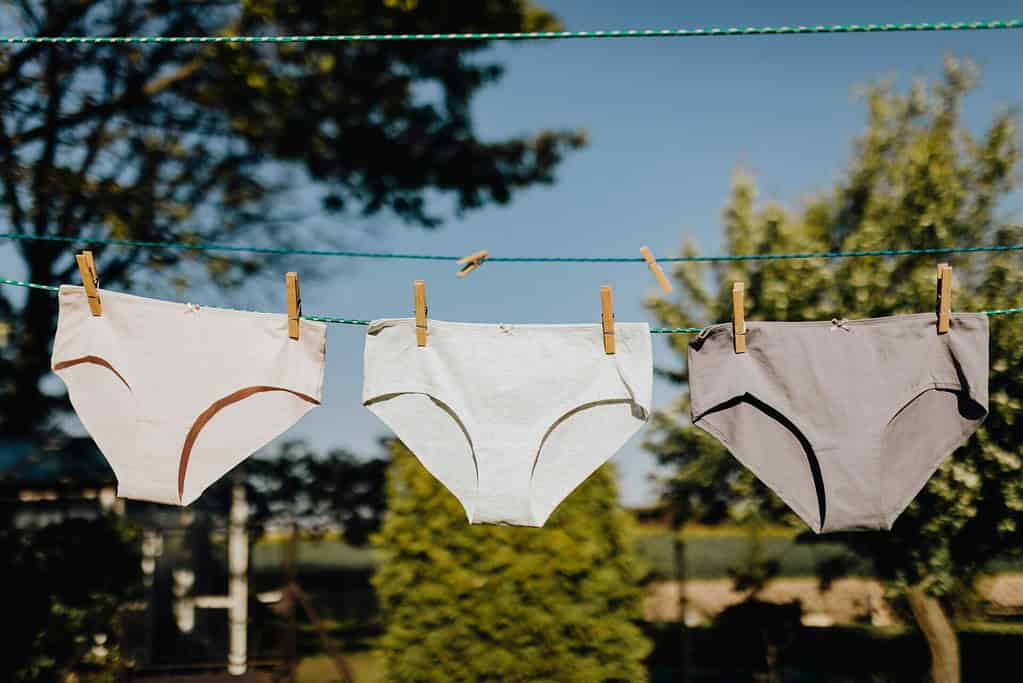 Hemp Underwear Brands