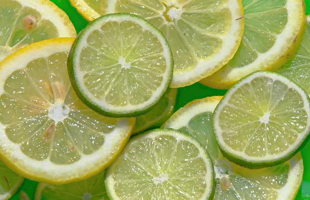 How long do limes last