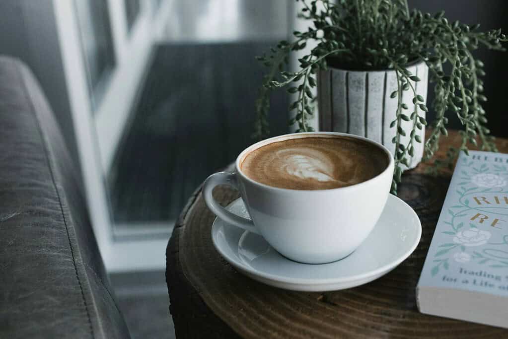 mushroom coffee