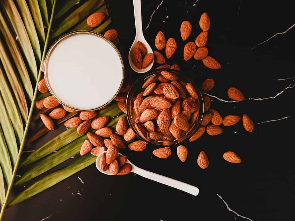 Almond Milk’s Shelf Life