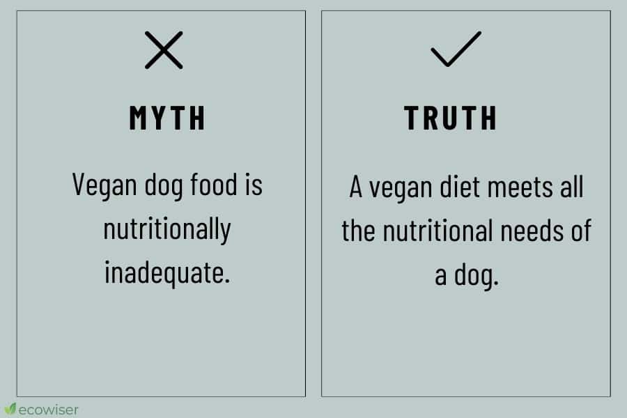 vegan dog food myths vs reality