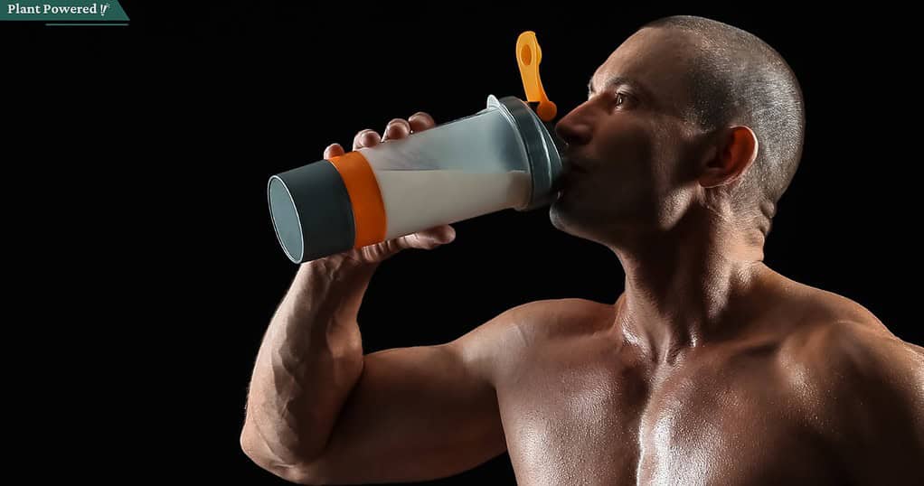 dairy-free protein powder