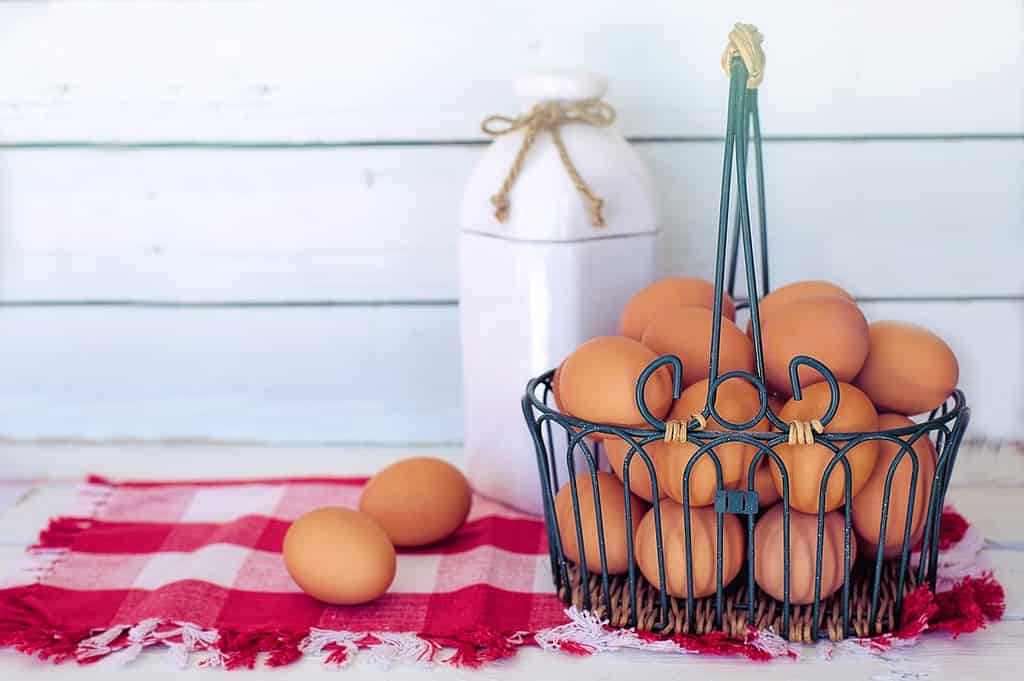 How Long do Fresh Eggs Last?