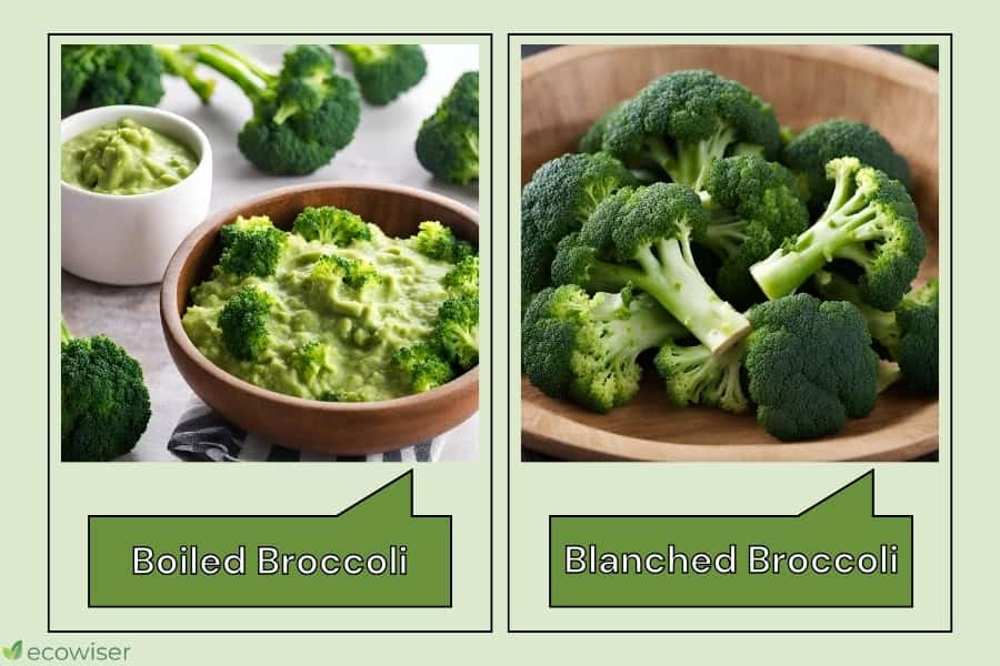 Why It’s Important to Learn How To Blanch Broccoli