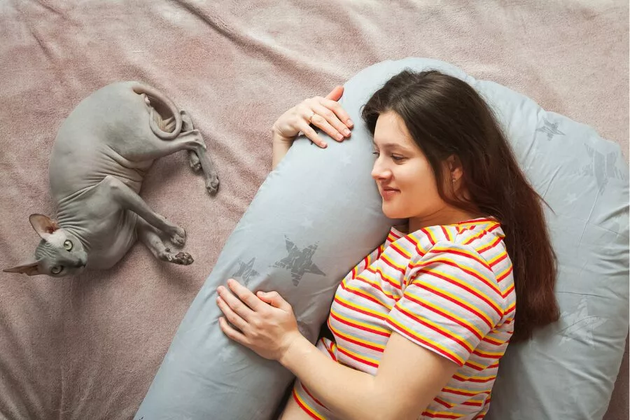 Best Maternity Pillows