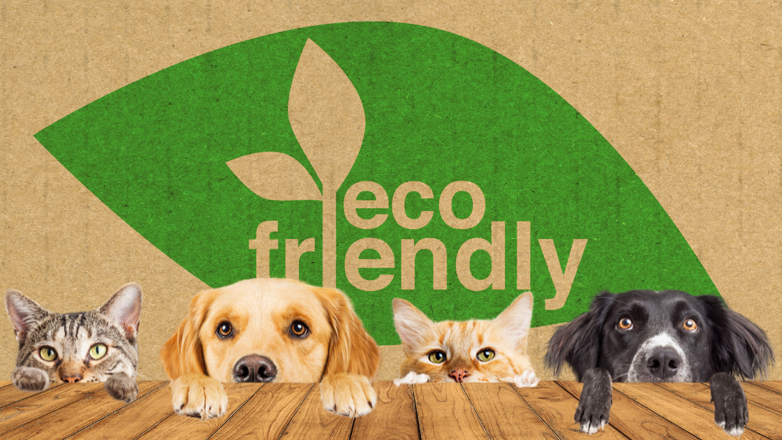 Pet Wellness Meets Sustainability: The Rise of Green Pet Parenting
