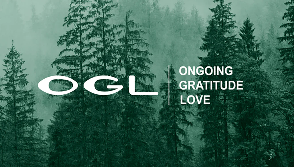 OGL fashion review feature image